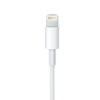 Lightning-to-USB-Cable-2