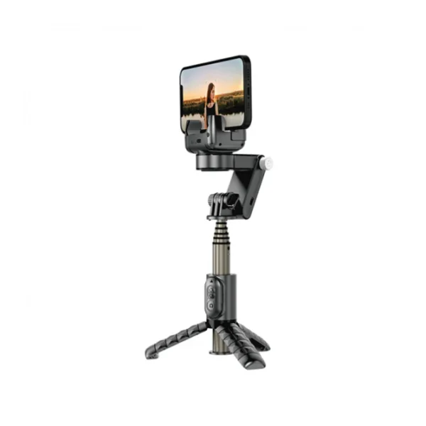 Wiwu WI-SE006 Detachable Tripod Selfie Stick
